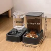 1/2 Pcs Pet Water Dispenser And 1 Pet Food Dispenser Set,  Cat Water Dispensers,  Pet Bowl Feeders 4