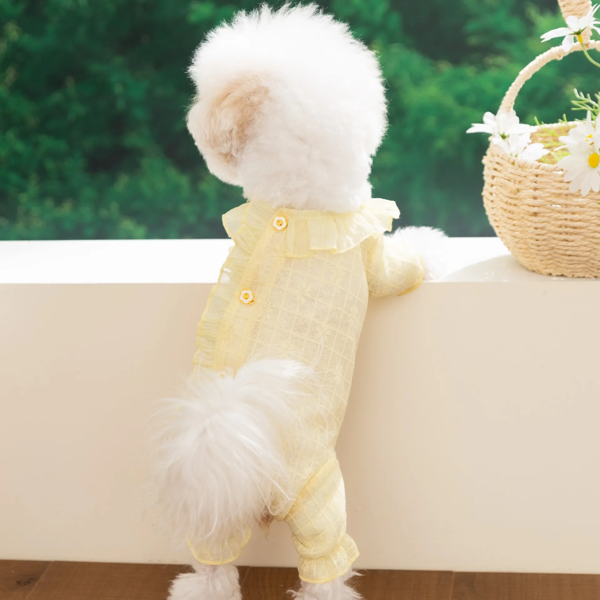 강아지 네발 팬츠 여름 단색 에어컨 옷 소형견 통기성 메쉬 웨이어 테디 점프슈트
