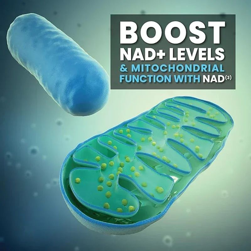 Nad+ Booster Nicotinamide Riboside Natural Energy Longevity & Cellular nad+ supplement capsules