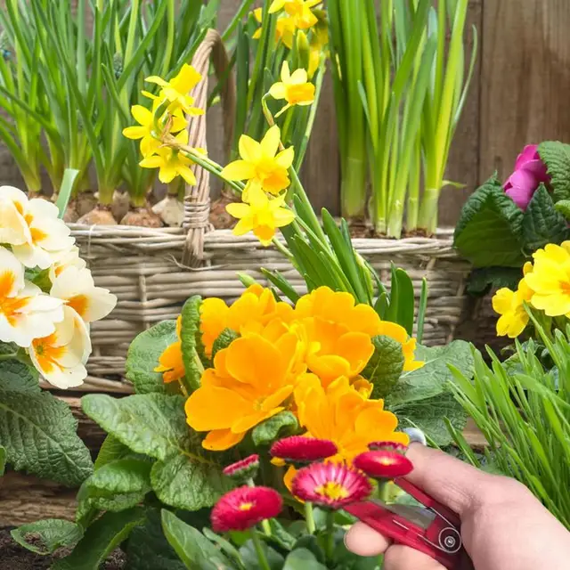 Új Multifunkciós Késkerti Metsző Gyümölcs Szedő Eszköz Biztonságos Gyümölcspenge Szerszám Vágó Pengék Ujjvédő Fogó - Image 4