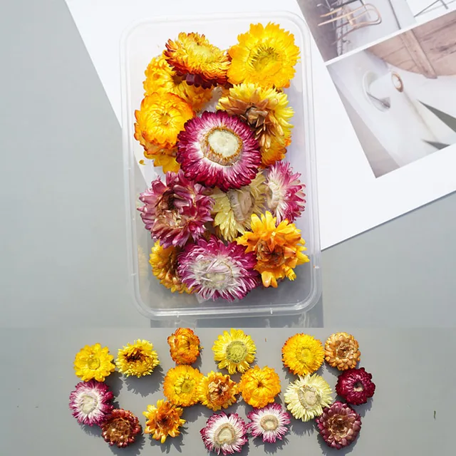 1Box Dried Flowers Dry Plants for Epoxy Resin Casting Mold DIY