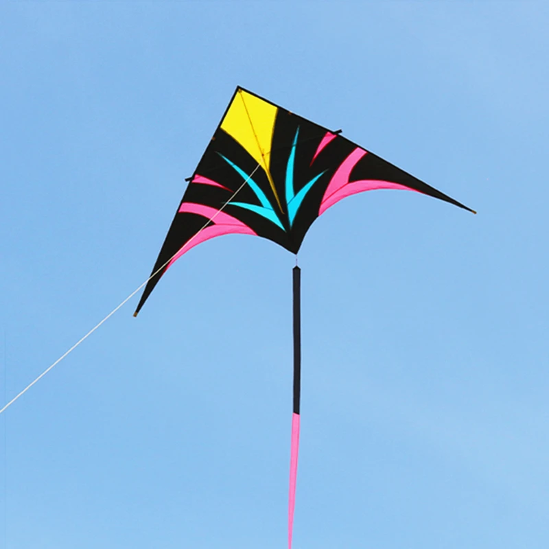 Ripstop nylon large delta kite with accessories