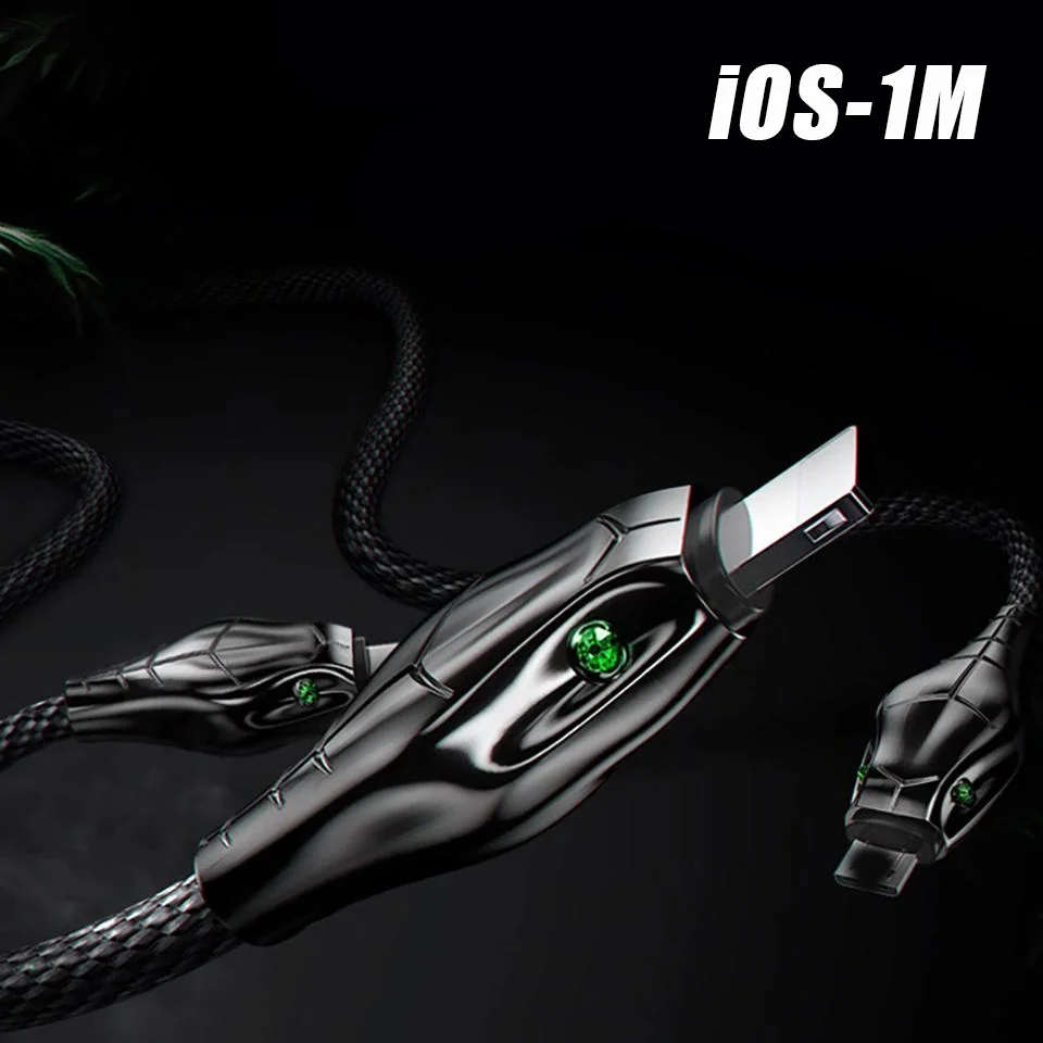 iOS 1M