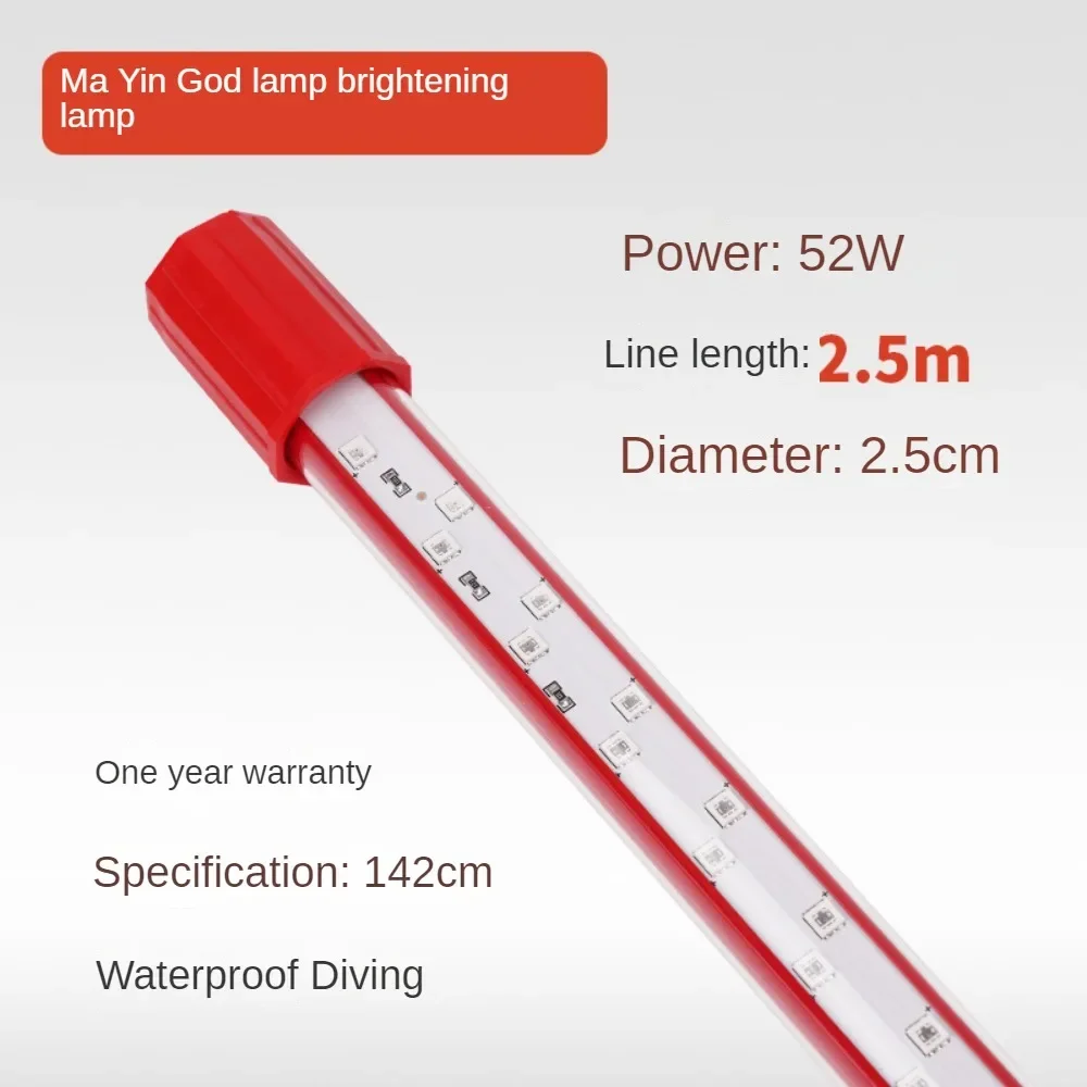 キ*ン様 Arowana Magical Light Series キ*ン様 Arowana Magical