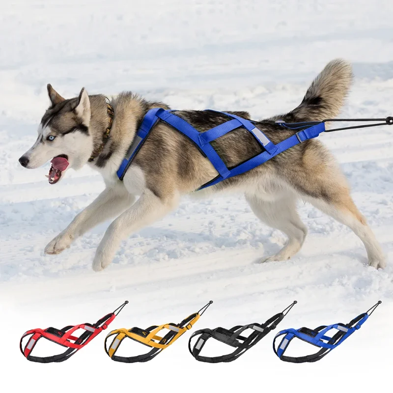 Dog Weight Pulling Malamute Pulling Harness Leash For Big Dogs