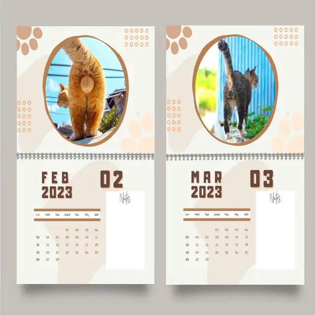 Cat Balls Calendar 12 Month Cat Balls Calendar With Notes Space Cat  Butthole Calendar 2023 For Keeping An Accurate Track Of _ - AliExpress  Mobile