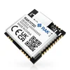 RAK11720 Ambiq Apollo3 SX1262 LoRa Bluetooth Module for LoRaWAN 2