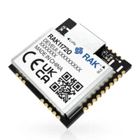 RAK11720 Ambiq Apollo3 SX1262 LoRa Bluetooth Module for LoRaWAN 2