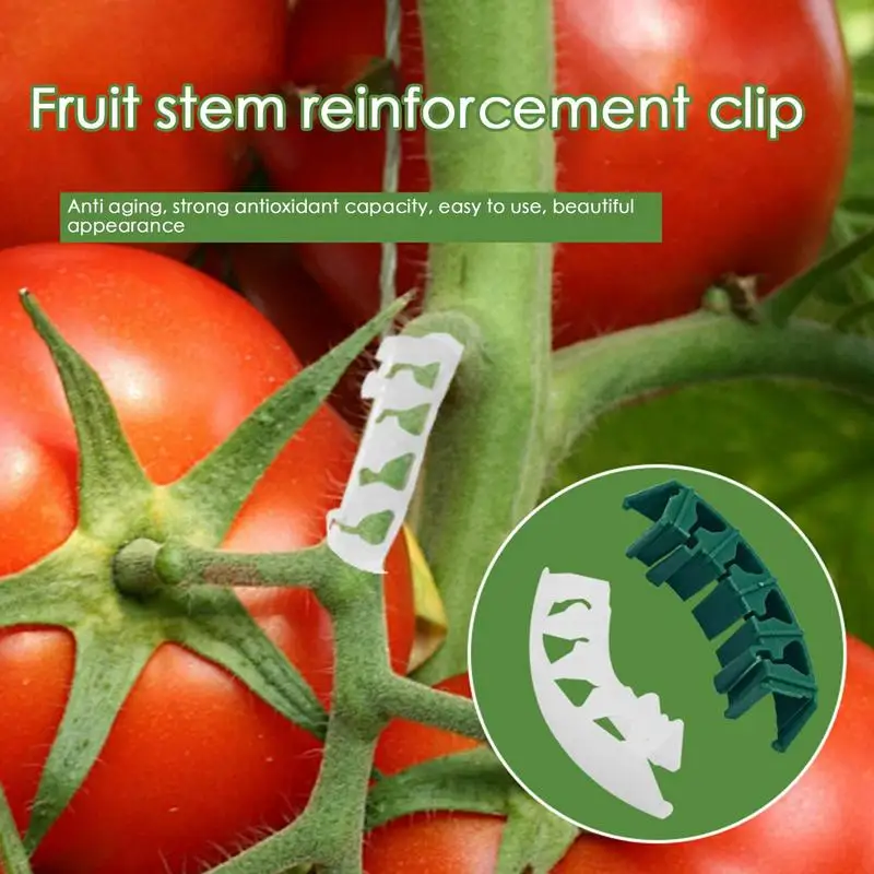 100Pcs Plant Fixed Clips Reusable Garden Planting Clips For Fixed Plants Vine Flower Seedling Tomatoes Support Plant