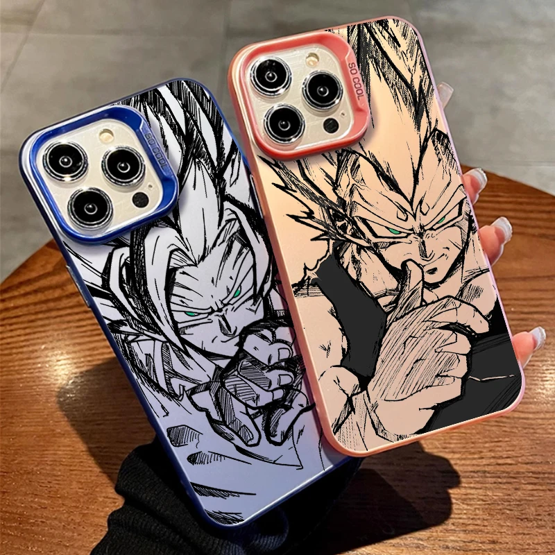 dsc-products