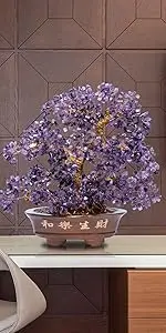 amethyst crystal tree crystal bonsai tree