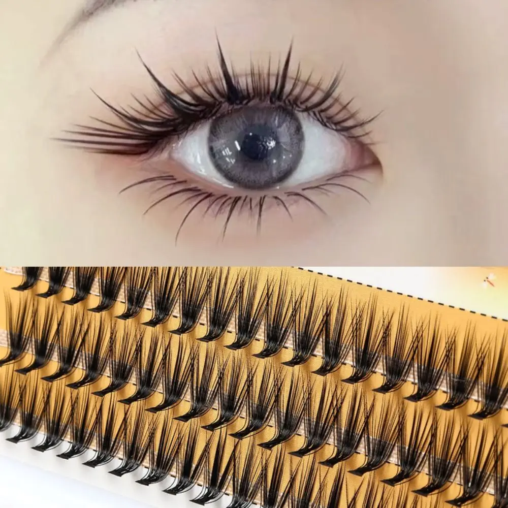 

New L Curl Mink False Eyelash 60 Clusters Lashtray for Makeup 10D/20D Eyelashes Extensions Individual Handmade Eye Lashes