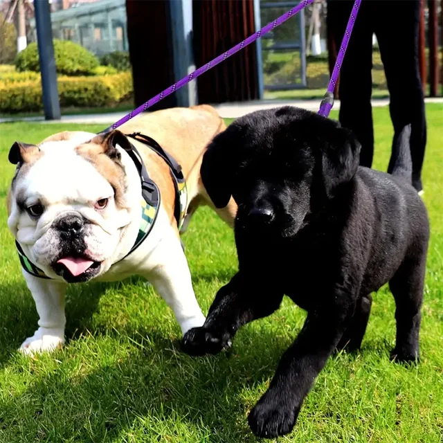 Dual Dog Leash - 360 Swivel No Tangle 4