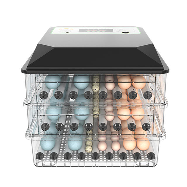 Automatic Incubators Egg Hatching Machine Quail Broiler Chicken Egg