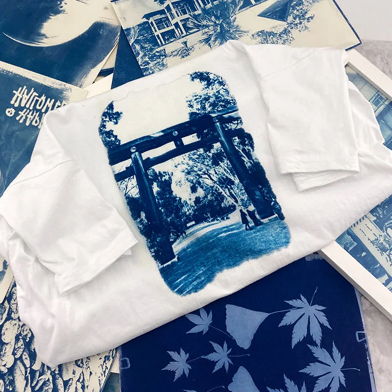 Cyanotype Printing DIY Kit for Reproducing Photographs Documents Maps