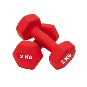 SET MANCUERNAS X PAR + 10 KG EN DISCOS (4 X 2,5 KG) - Jumping Jack