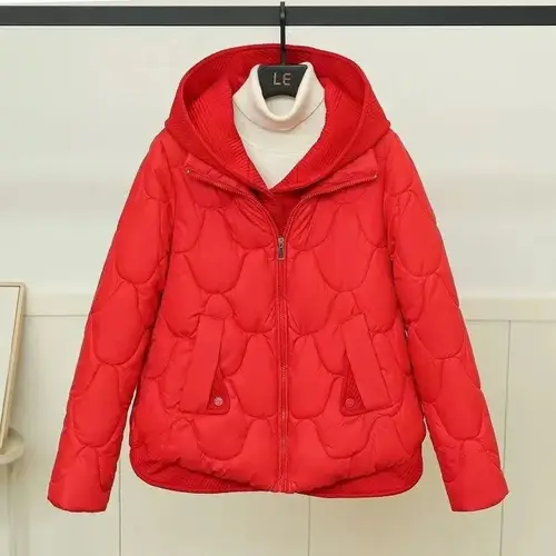 2025 Fashion Coats Korean Style Loose Cropped Coat Women Jacket Women Parkas Warm Puffer Jackets Casual Coat New Winter Clothes - Image 5