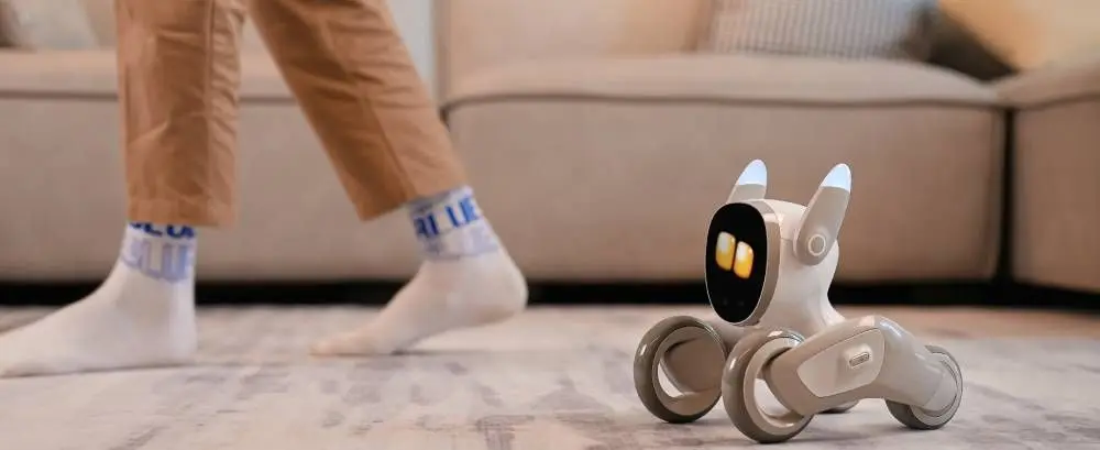 Loona Robot Intelligent Domestique