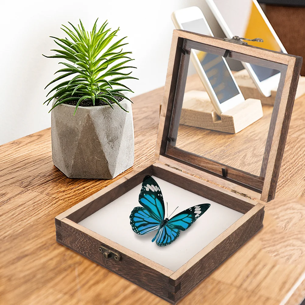 

Plant Specimen Display Box Wooden Lidded Display Box Insect Specimen Display Case