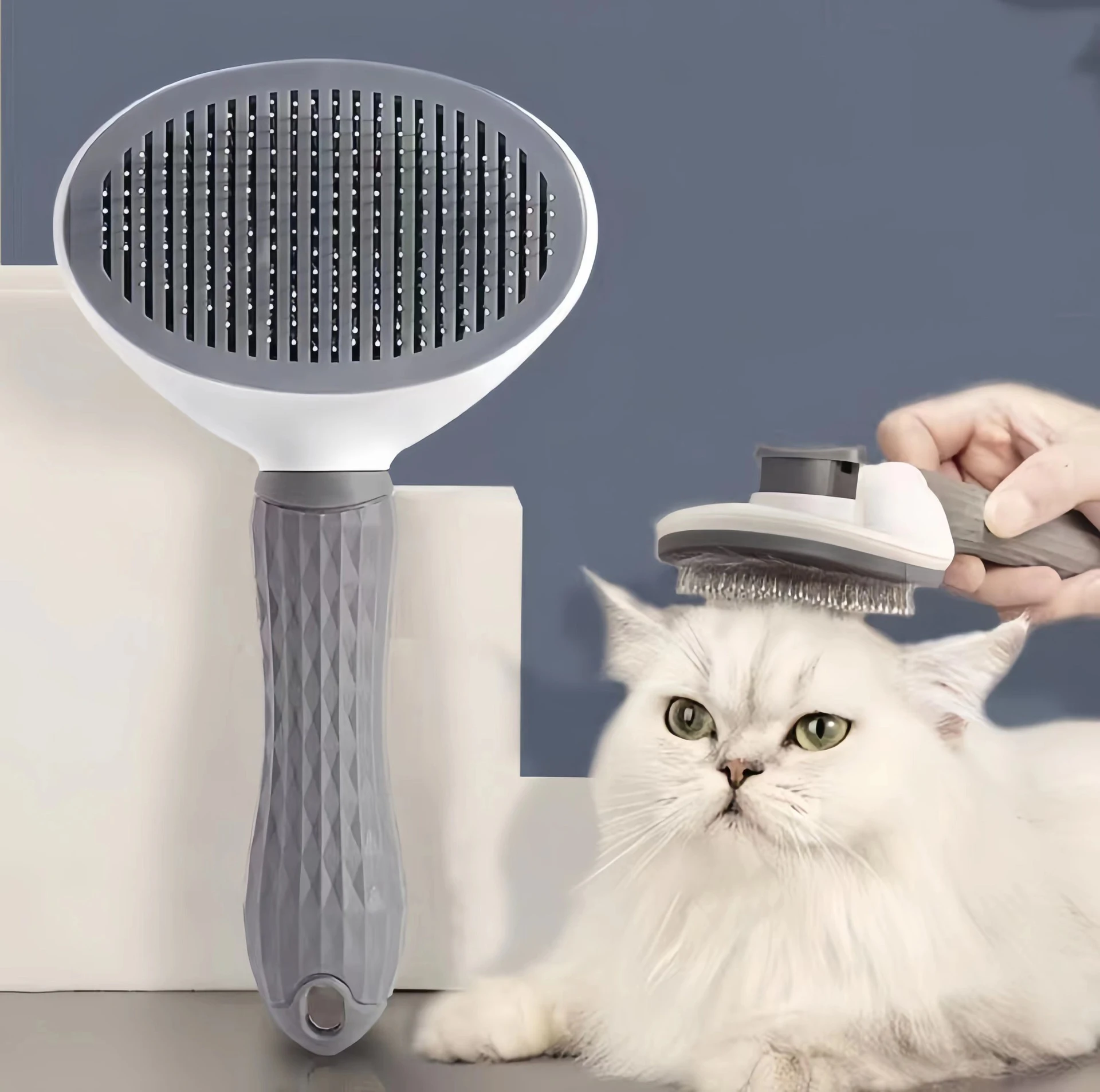 Cat Brush 1