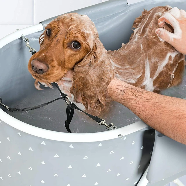 Vasca Da Bagno Per Cani Rialzata Pieghevole - 5 Altezze Regolabili, Con Scarico, Per Cani Fino 56kg, Blu - Foto 6
