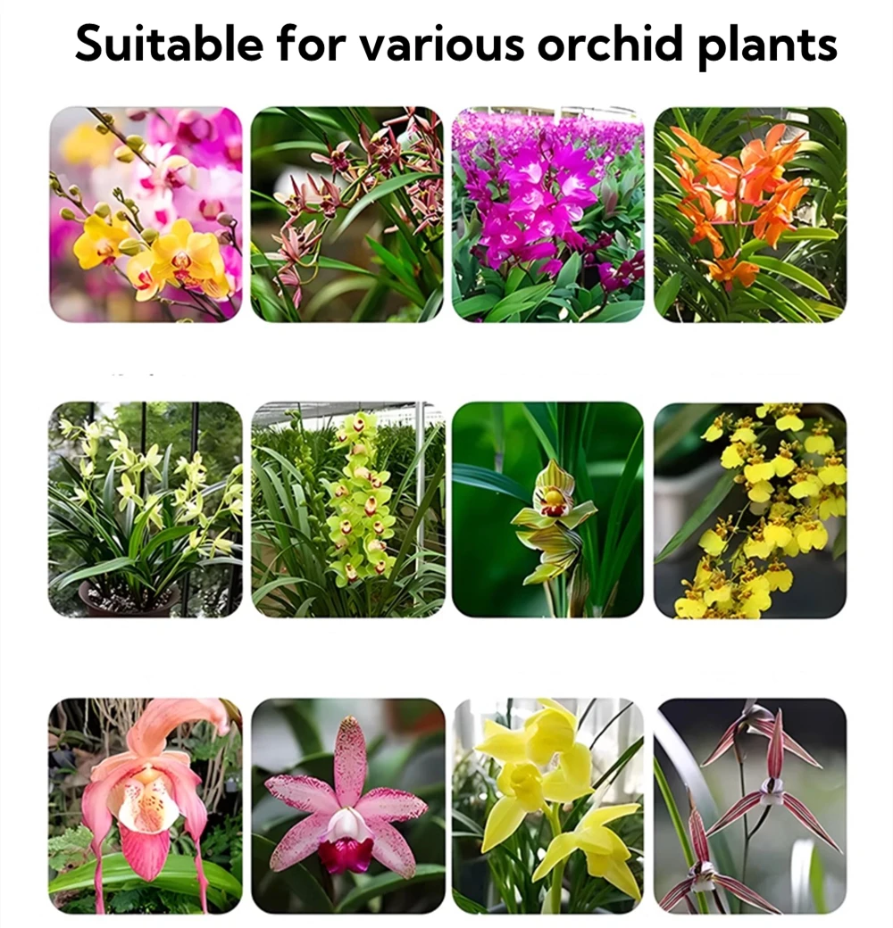 500g Professional Special Fertilizer For Orchid Butterfly Orchid Slow Release Potted Bonsai Garden Compound Fertilizer