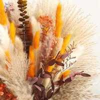 Natural Fluffy Pampas Grass Dried Flowers Bouquet Orange Boho