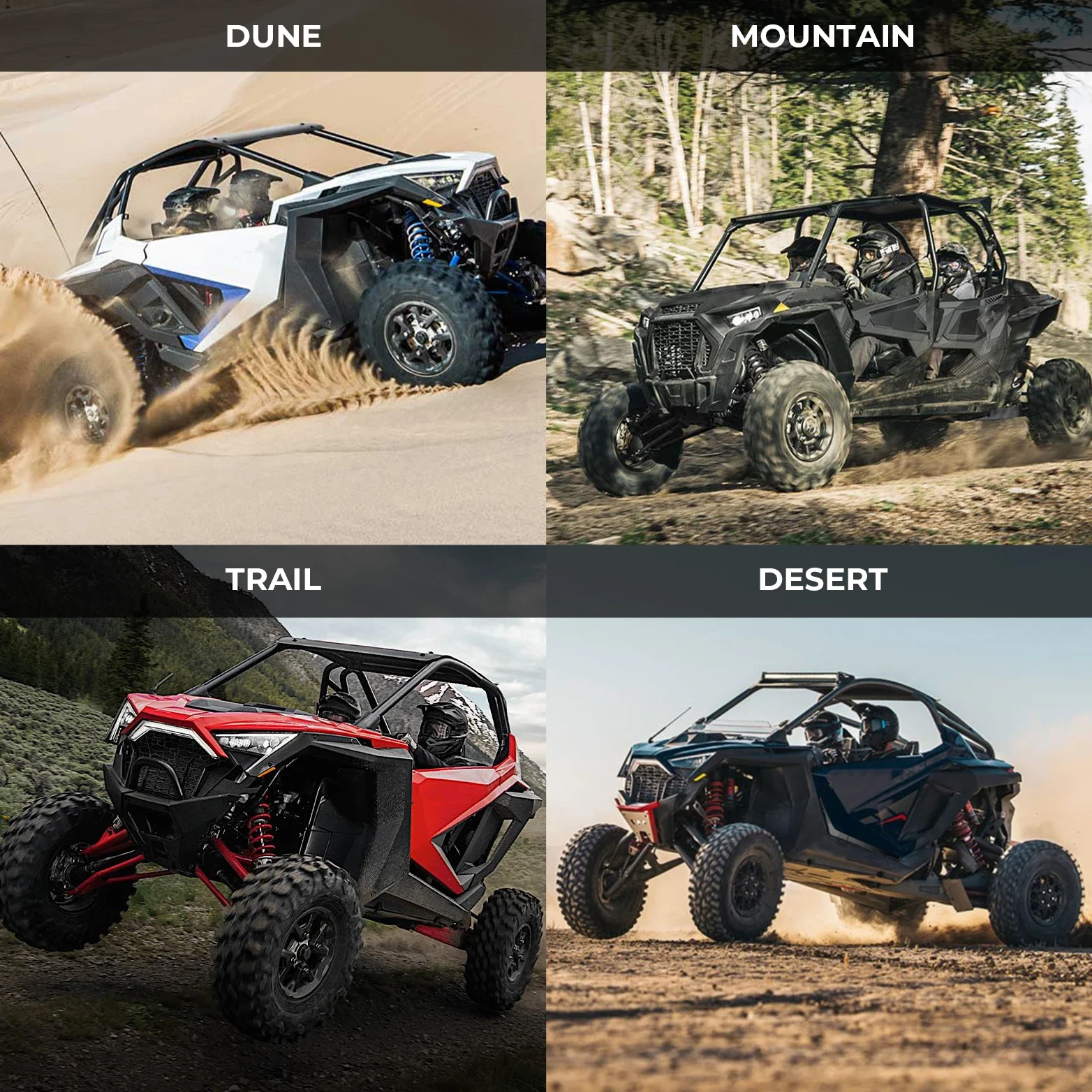 dsc-products