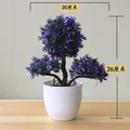 Yingkesong violet