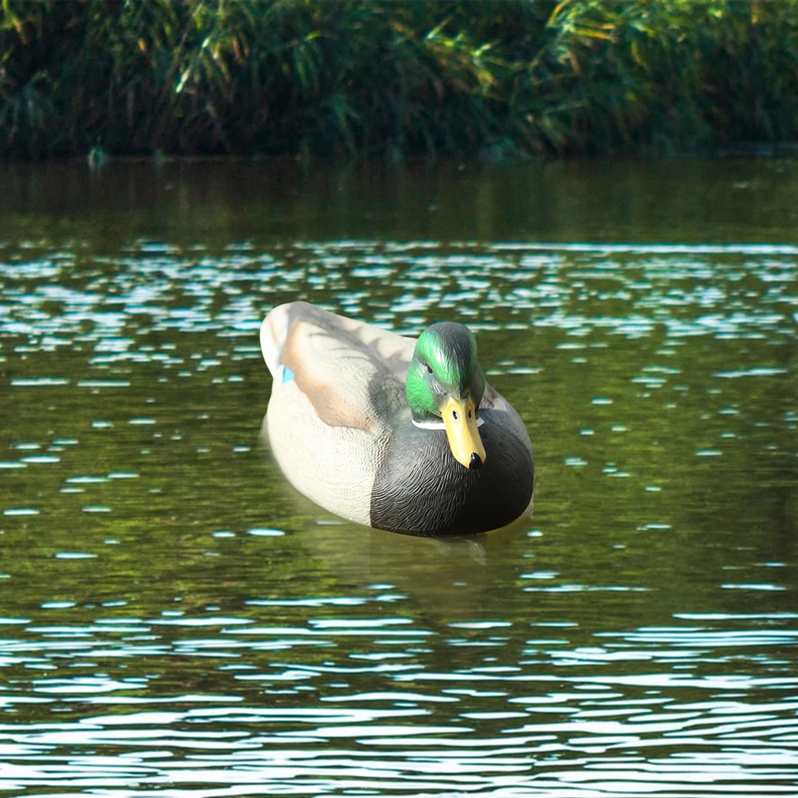 Fishing Hunting Decoy Plastic Duck Decoy Drake with Weighted Floating Keel