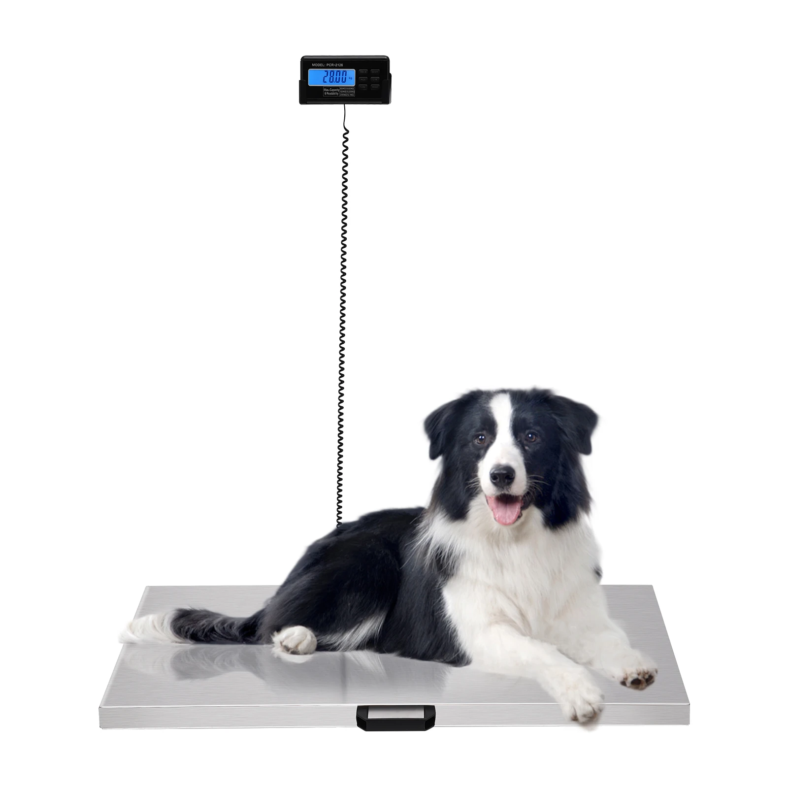 201 Stainless Steel Digital Livestock Scale Large Pet Vet Scale Platform Electrical Postal Shipping 200kg/440lbs