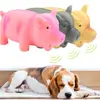 1PC Cute Rubber Sound Pig Grunting Squeak Latex Pet Chew Toys for Dog Squeaker Chew Training Puppy Supplies Pet Products 1