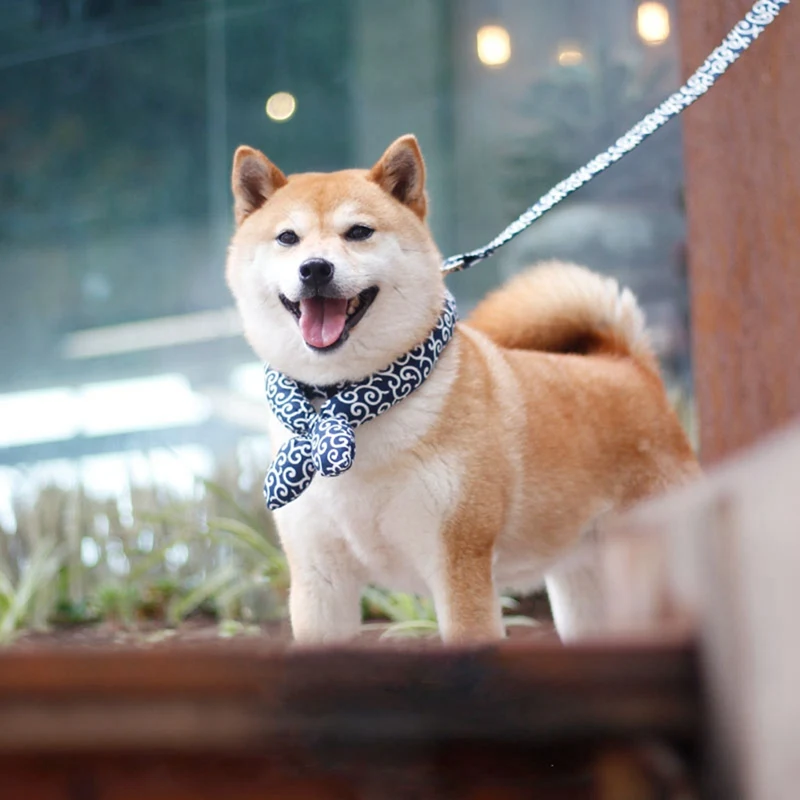 Title 3, Pet Dog Bandanas Akita Shiba Scarf Soft Collar ...