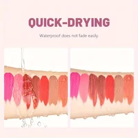 1pcs Waterproof Matte Velvet Lip Tint: Long-Lasting Nude Lip Glaze for a Sexy and Smooth Finish, Valentine's Day Gift 4