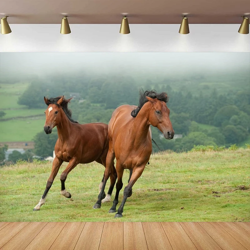 Horse Running Photography Fondale Mountain Hill Green Forest Background Western Cowboy Cowgirl Birthday Party Decor Poster