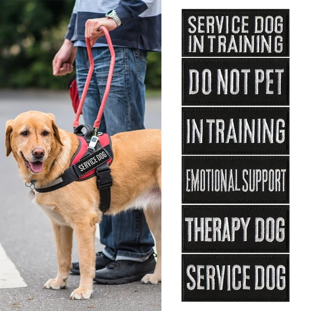 Pet Service Dog In Training SECURITY PATCH BADGES Therapy Dog PET