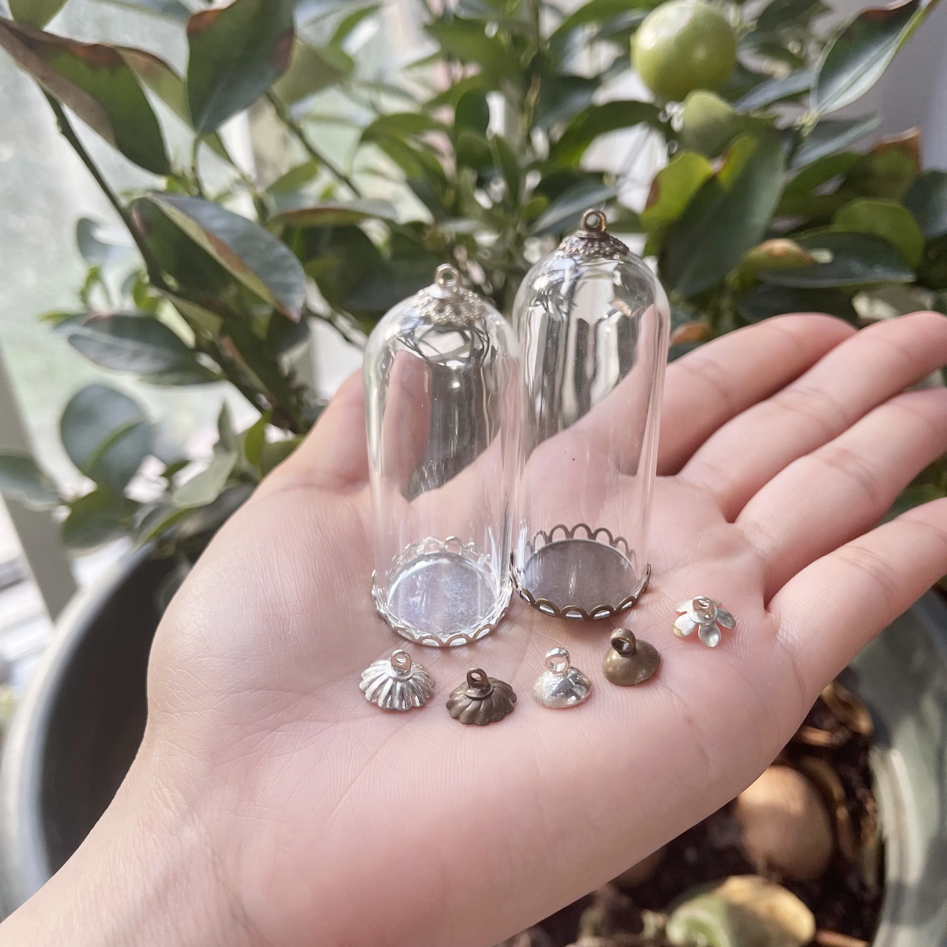 5/8/10X 50x20mm Clear Tube Bell Jar Glass Cover Dome Glass Vial Pendant Lace Base Home Room Table Display Decor Flower Ornaments 3