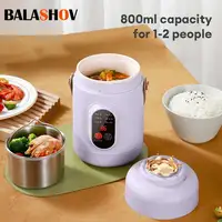 New Multifunctional Rice Cooker Portable Small Travel Electric Kettle Household Electric Cooker Hot Pot 110V US/220V EU Plug 1
