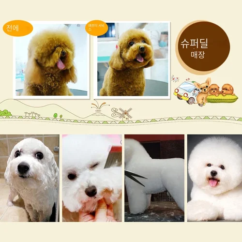 개 클리퍼 개 털 클리퍼 손질 (애완 동물/고양이/개/토끼) 이발 트리머 면도기 세트, 애완 동물 무선 충전식 전문 6