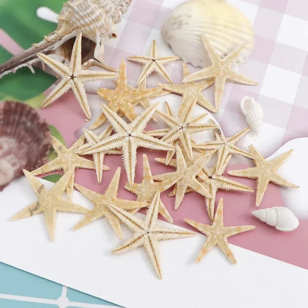 Starfish Natural Starfish Seashell Beach Craft Natural Sea Stars DIY Beach Wedding Decoration Crafts Home Decor 20/50/100pcs