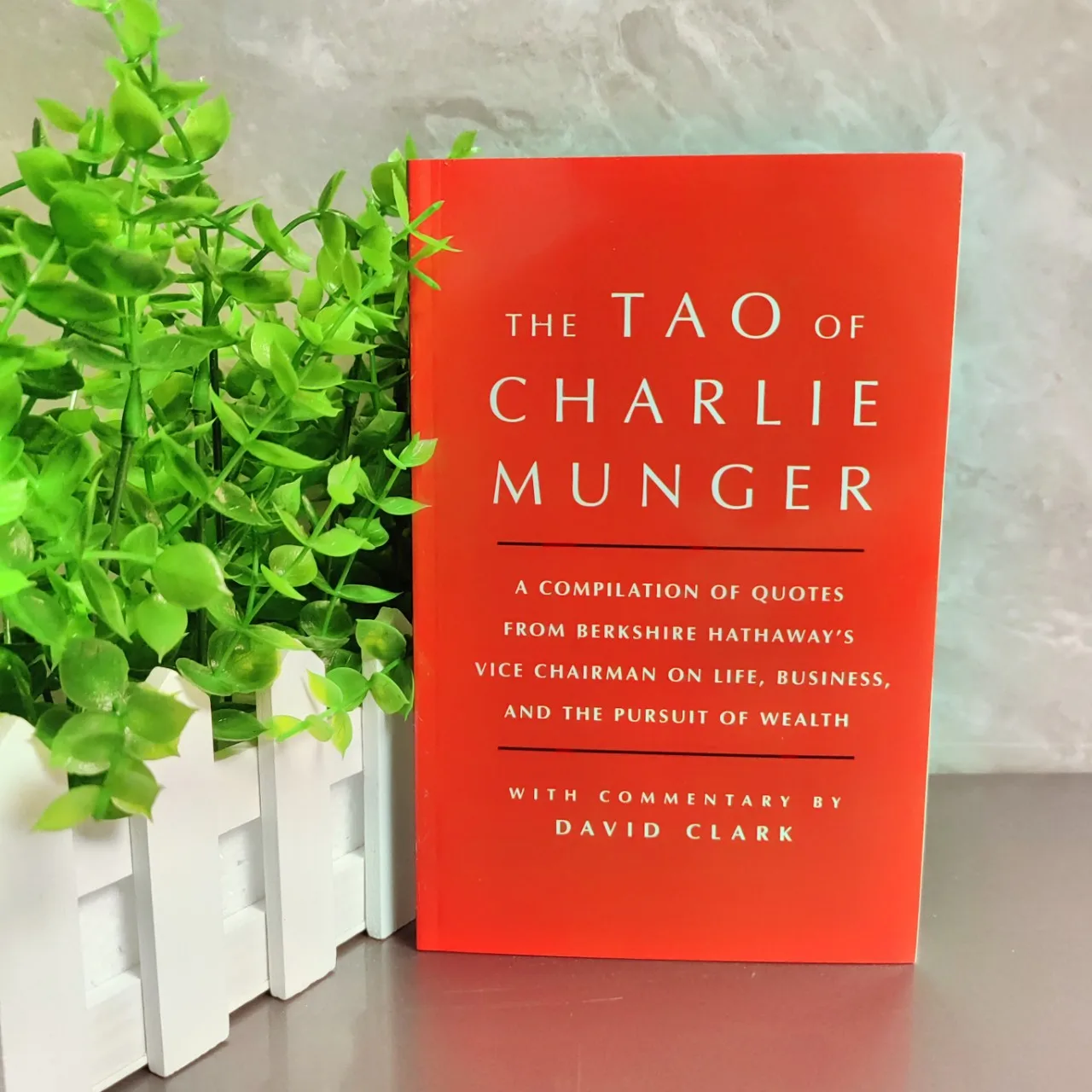 Das Tao von Charlie Munger von David Clark Finanzinvestitionenidee in englischem Lesebuch