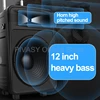 12 Inch 1600W High Power Audience Speaker Wireless Bluetooth Sound Audio Surround Subwoofer for DJ Stage Dancing Party Karaoke 3
