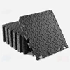 ½ inch Home Gym Mat with EVA Foam Interlocking Tiles for MMA, Fitness, Gymnastics and Gym Protection, Floor Liner