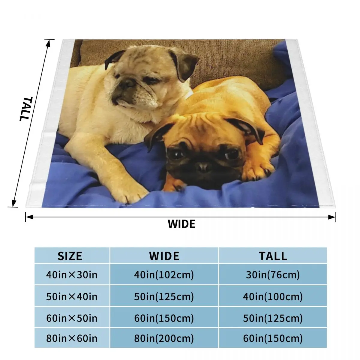 �۱� ������ ���, ǫ���� ���, ���� ���