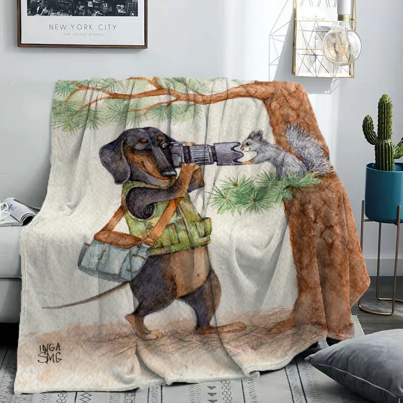 �ܿ�� ���� ���� ���� ������ ���, �ڽ���Ʈ ��� ���� ���, ��ȣ Ȩ ��� ħ�뺸, ħ�� ħ�� ���