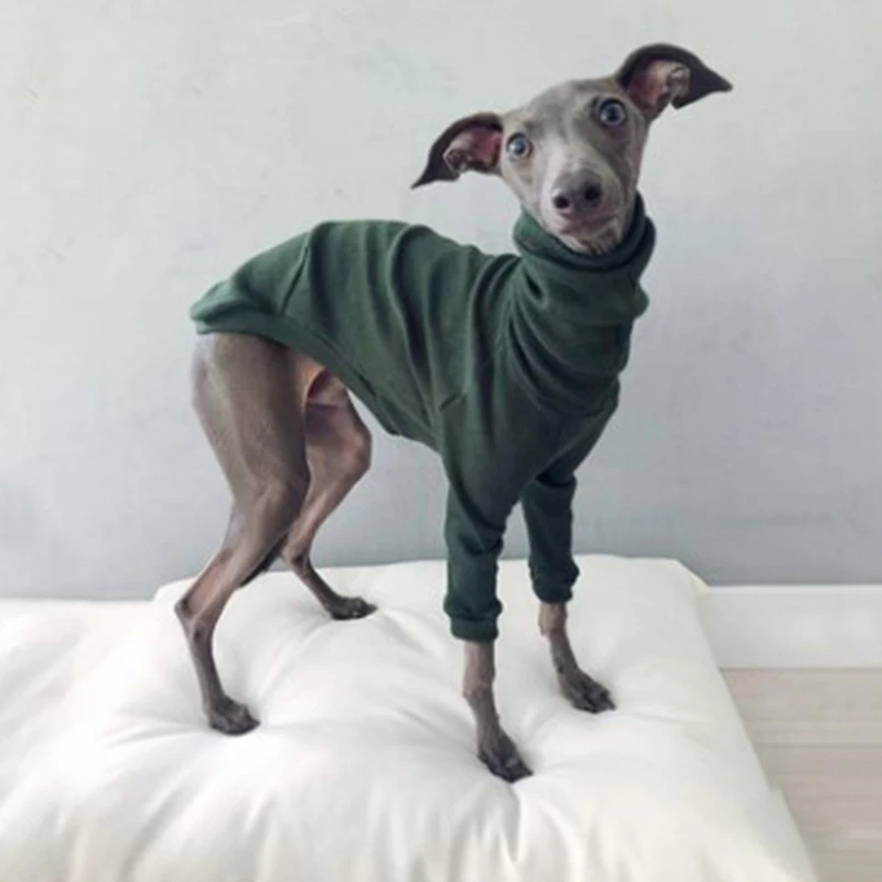 Abrigo de cuello alto de algodón para perros tipo galgo whippet_voghion.com
