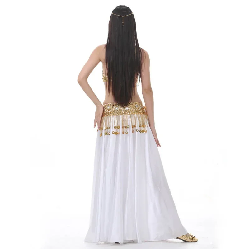 

New Performance Dancewear Bellydance Clothes Outfit Split Skirt Professional Women Egyptian Belly Dance Costume Set Long Skirt