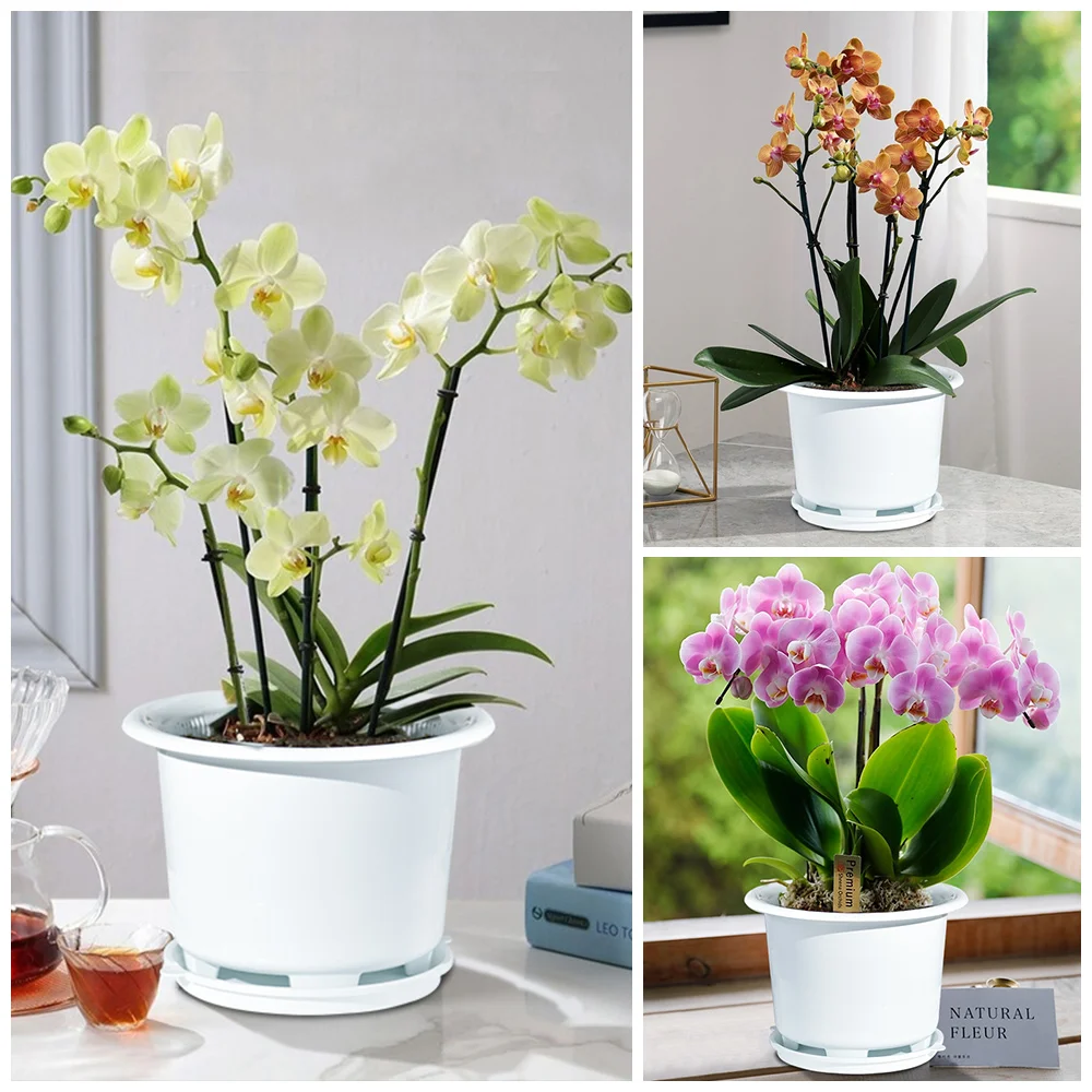 Meshpot Orchidee Bloempotten Met Gaten Dubbele Lagen Tuin Planters Huis Planten Orchidee Potten Woondecoratie Leveringen