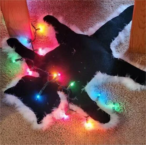 Floor Mat Light Up Fried Cat Rug Christmas Decoration Carpet