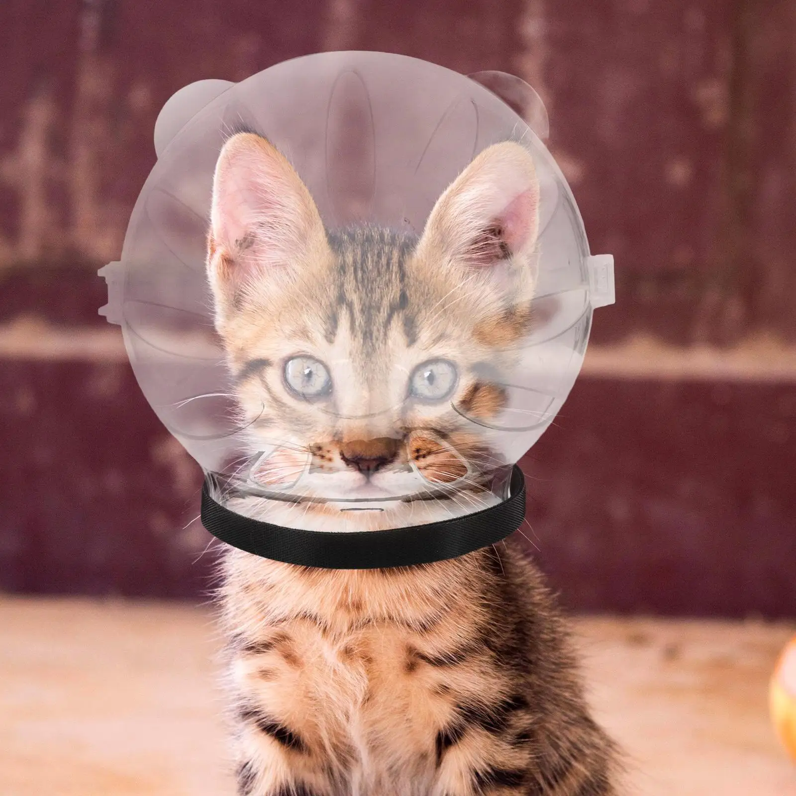 Cat Hood Hairdressing for Grooming Mask Durable Recovery Dog after Surgery Abs Kitten Breathable Bathing